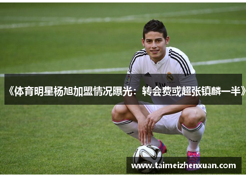 《体育明星杨旭加盟情况曝光：转会费或超张镇麟一半》