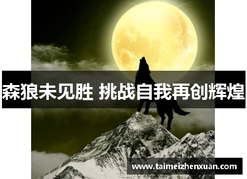 森狼未见胜 挑战自我再创辉煌